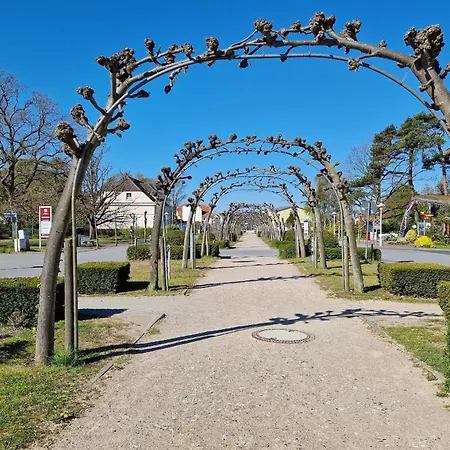 Graugans 아파트